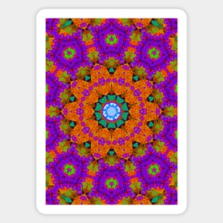 Shamanic psychedelic kaleidoscope design Sticker
